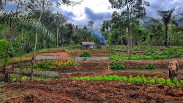 Suasana Bukit Bandangan, Desa Pandang Panjang.