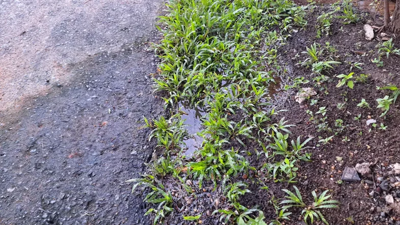 Kebocoran pipa air minum yang tak kunjung diperbaiki. Mungkin menunggu lebih parah.