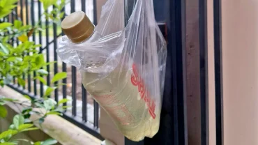 Entah siapa yang meletakkan, namun sudah dua kali terjadi adanya botol di depan rumah.